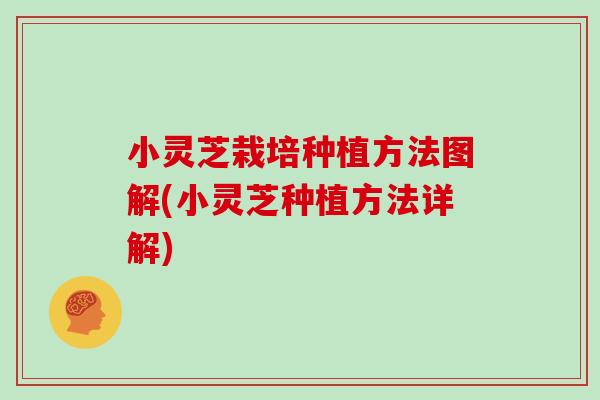 小灵芝栽培种植方法图解(小灵芝种植方法详解)