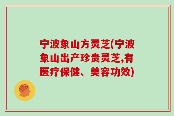 宁波象山方灵芝(宁波象山出产珍贵灵芝,有医疗保健、美容功效)