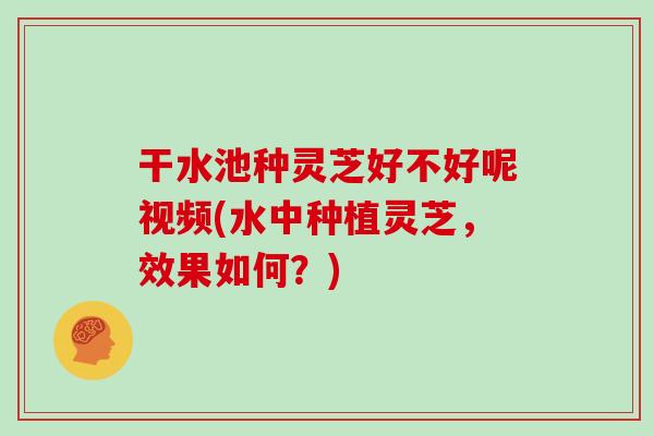 干水池种灵芝好不好呢视频(水中种植灵芝，效果如何？)
