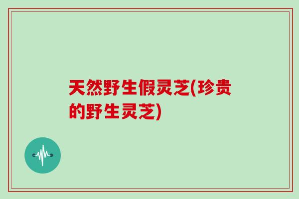 天然野生假灵芝(珍贵的野生灵芝)