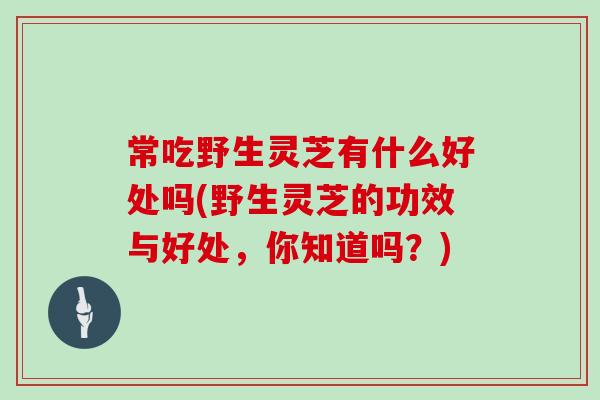 常吃野生灵芝有什么好处吗(野生灵芝的功效与好处，你知道吗？)