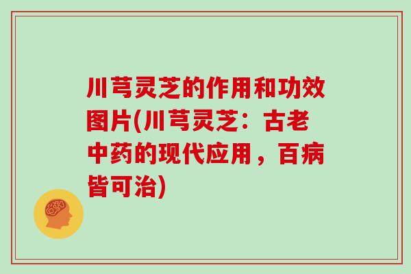 川芎灵芝的作用和功效图片(川芎灵芝：古老中药的现代应用，百病皆可治)