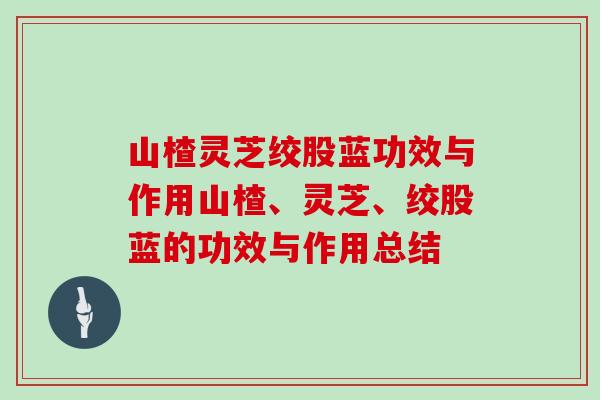 山楂灵芝绞股蓝功效与作用山楂、灵芝、绞股蓝的功效与作用总结