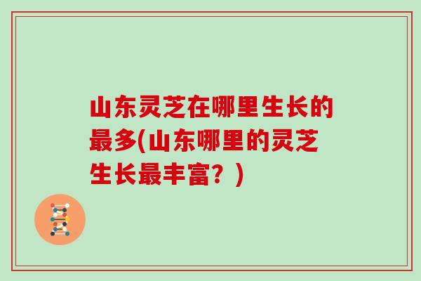 山东灵芝在哪里生长的最多(山东哪里的灵芝生长最丰富？)