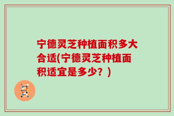 宁德灵芝种植面积多大合适(宁德灵芝种植面积适宜是多少？)