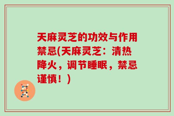 天麻灵芝的功效与作用禁忌(天麻灵芝：清热降火，调节睡眠，禁忌谨慎！)