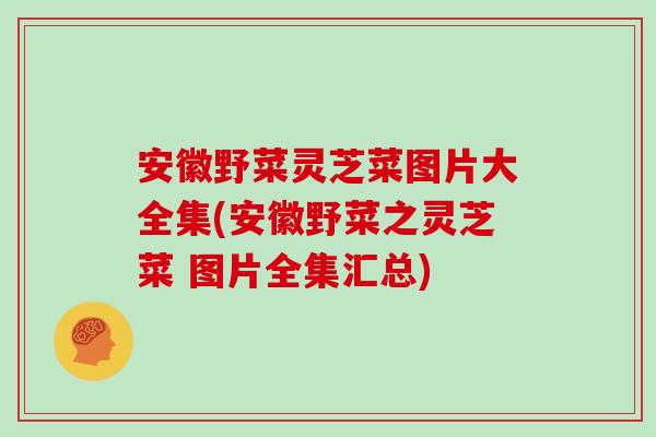安徽野菜灵芝菜图片大全集(安徽野菜之灵芝菜 图片全集汇总)