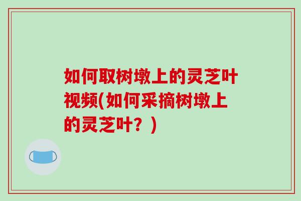 如何取树墩上的灵芝叶视频(如何采摘树墩上的灵芝叶？)