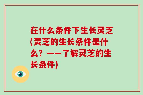 在什么条件下生长灵芝(灵芝的生长条件是什么？——了解灵芝的生长条件)