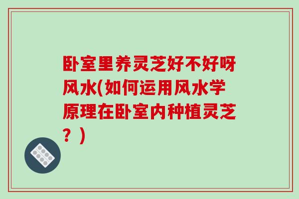 卧室里养灵芝好不好呀风水(如何运用风水学原理在卧室内种植灵芝？)