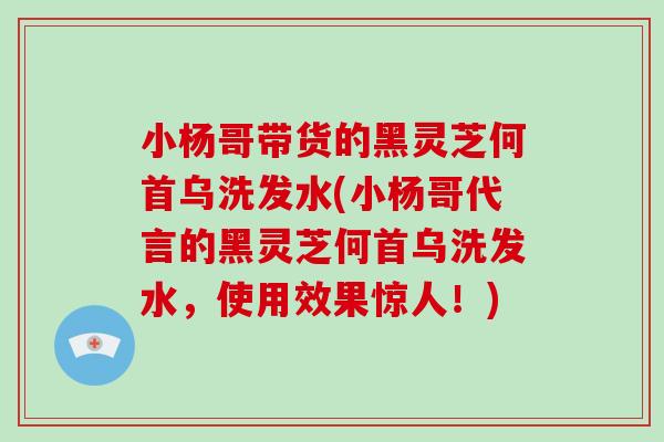 小杨哥带货的黑灵芝何首乌洗发水(小杨哥代言的黑灵芝何首乌洗发水，使用效果惊人！)
