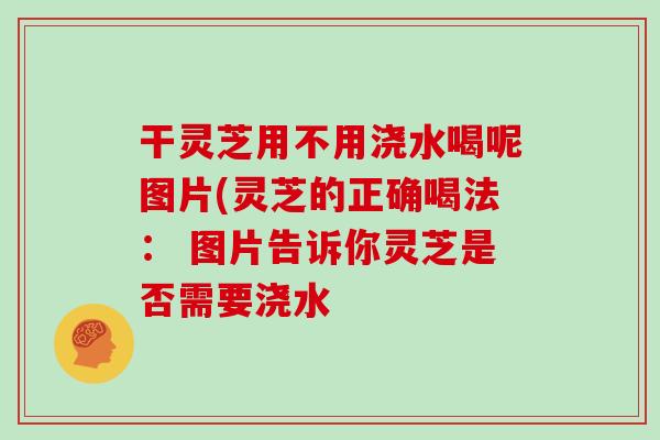干灵芝用不用浇水喝呢图片(灵芝的正确喝法： 图片告诉你灵芝是否需要浇水