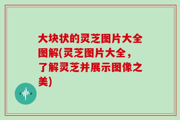 大块状的灵芝图片大全图解(灵芝图片大全，了解灵芝并展示图像之美)