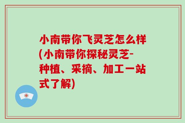 小南带你飞灵芝怎么样(小南带你探秘灵芝-种植、采摘、加工一站式了解)