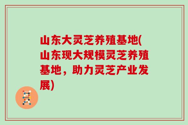 山东大灵芝养殖基地(山东现大规模灵芝养殖基地,助力灵芝产业发展)