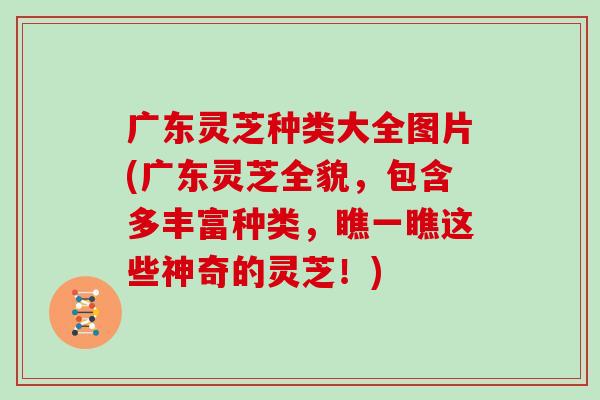 广东灵芝种类大全图片(广东灵芝全貌，包含多丰富种类，瞧一瞧这些神奇的灵芝！)