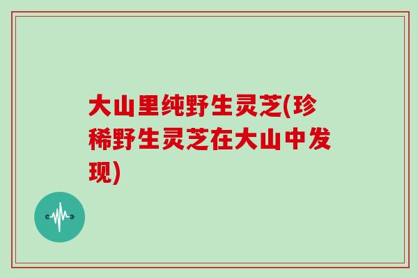 大山里纯野生灵芝(珍稀野生灵芝在大山中发现)