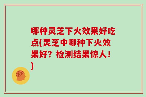 哪种灵芝下火效果好吃点(灵芝中哪种下火效果好?检测结果惊人!)