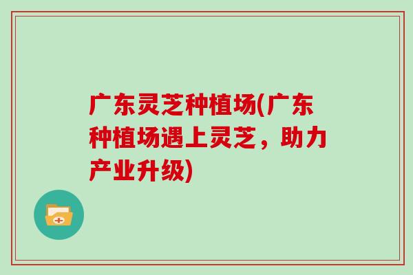 广东灵芝种植场(广东种植场遇上灵芝，助力产业升级)