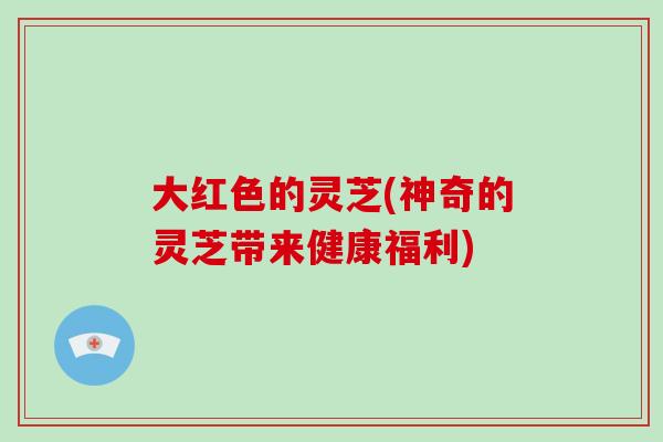大红色的灵芝(神奇的灵芝带来健康福利)