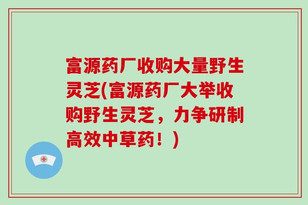 富源药厂收购大量野生灵芝(富源药厂大举收购野生灵芝，力争研制高效中草药！)