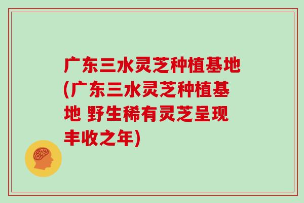 广东三水灵芝种植基地(广东三水灵芝种植基地 野生稀有灵芝呈现丰收之年)