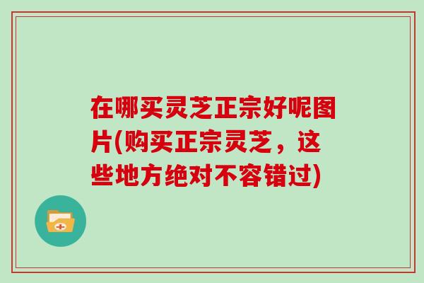 在哪买灵芝正宗好呢图片(购买正宗灵芝，这些地方绝对不容错过)