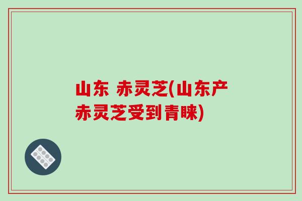 山东 赤灵芝(山东产赤灵芝受到青睐)