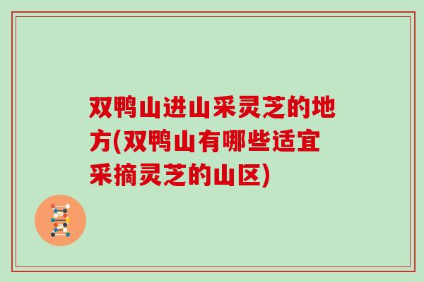 双鸭山进山采灵芝的地方(双鸭山有哪些适宜采摘灵芝的山区)