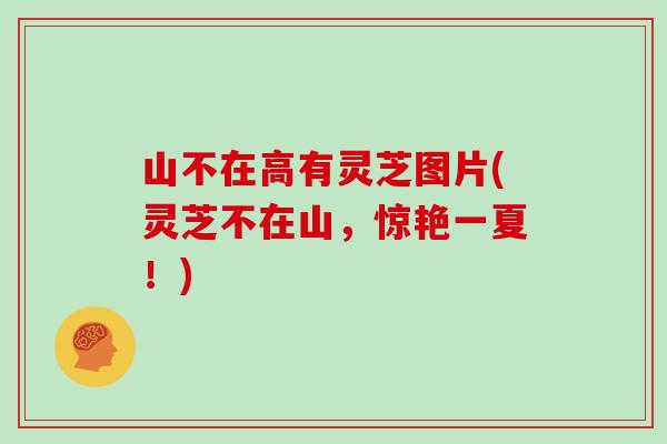 山不在高有灵芝图片(灵芝不在山,惊艳一夏!)