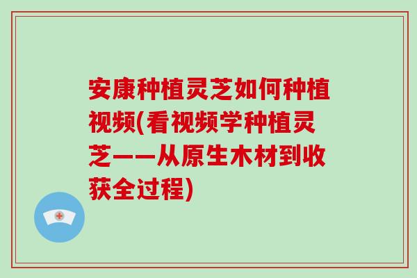 安康种植灵芝如何种植视频(看视频学种植灵芝——从原生木材到收获全过程)