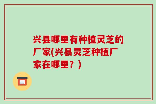 兴县哪里有种植灵芝的厂家(兴县灵芝种植厂家在哪里?)