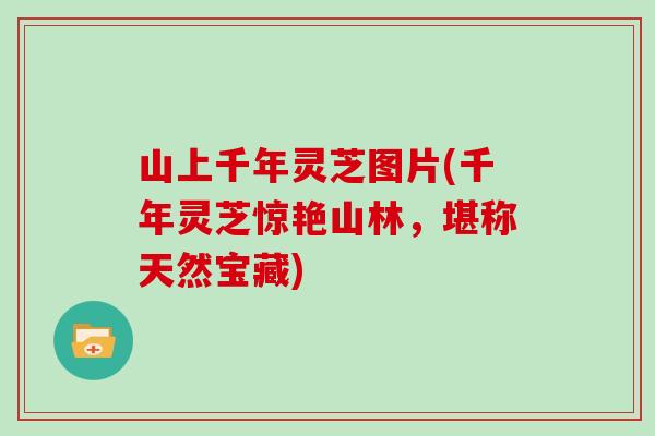 山上千年灵芝图片(千年灵芝惊艳山林,堪称天然宝藏)