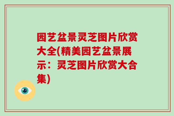 园艺盆景灵芝图片欣赏大全(精美园艺盆景展示:灵芝图片欣赏大合集)
