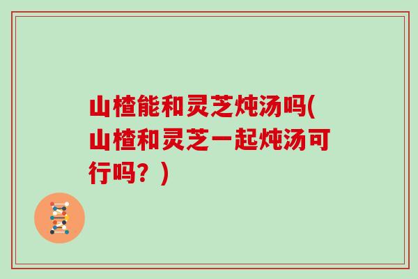 山楂能和灵芝炖汤吗(山楂和灵芝一起炖汤可行吗?)