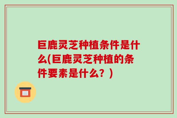 巨鹿灵芝种植条件是什么(巨鹿灵芝种植的条件要素是什么?)