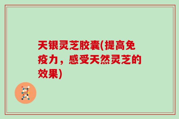 天银灵芝胶囊(提高免疫力,感受天然灵芝的效果)