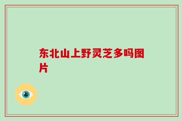 东北山上野灵芝多吗图片