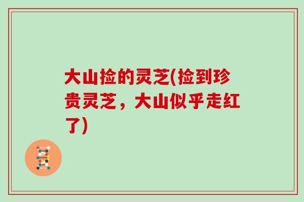 大山捡的灵芝(捡到珍贵灵芝,大山似乎走红了)