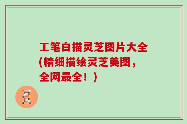 工笔白描灵芝图片大全(精细描绘灵芝美图，全网最全！)