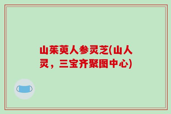 山茱萸人参灵芝(山人灵，三宝齐聚图中心)