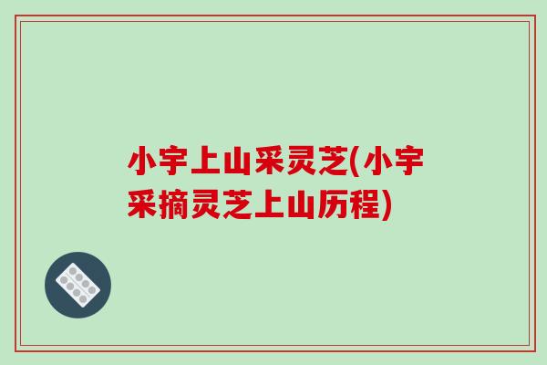 小宇上山采灵芝(小宇采摘灵芝上山历程)