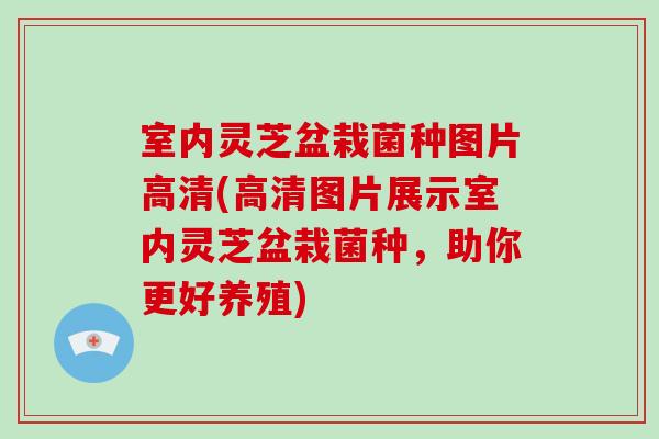 室内灵芝盆栽菌种图片高清(高清图片展示室内灵芝盆栽菌种，助你更好养殖)