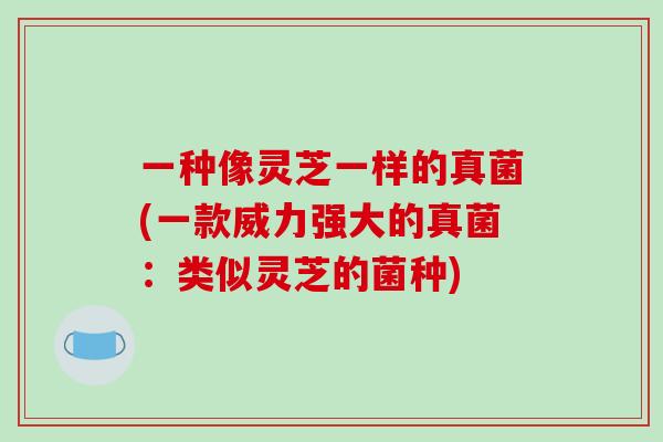 一种像灵芝一样的真菌(一款威力强大的真菌：类似灵芝的菌种)