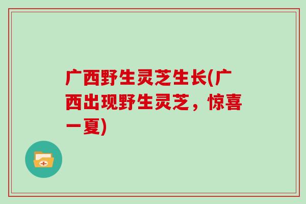广西野生灵芝生长(广西出现野生灵芝，惊喜一夏)