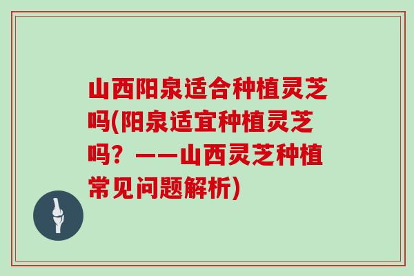 山西阳泉适合种植灵芝吗(阳泉适宜种植灵芝吗?——山西灵芝种植常见问题解析)