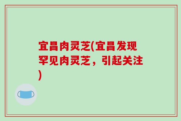 宜昌肉灵芝(宜昌发现罕见肉灵芝,引起关注)