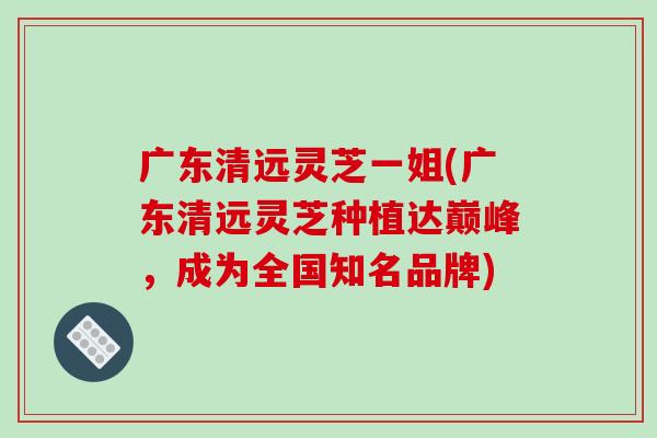 广东清远灵芝一姐(广东清远灵芝种植达巅峰，成为全国知名品牌)