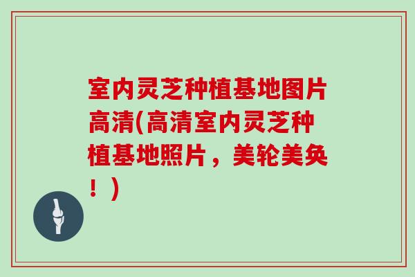 室内灵芝种植基地图片高清(高清室内灵芝种植基地照片,美轮美奂!)