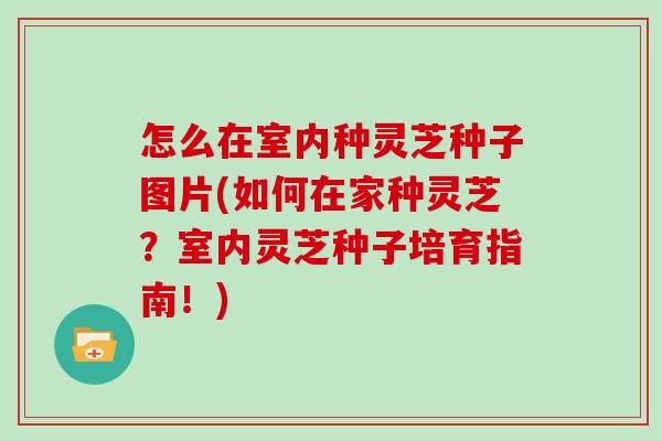 怎么在室内种灵芝种子图片(如何在家种灵芝?室内灵芝种子培育指南!)